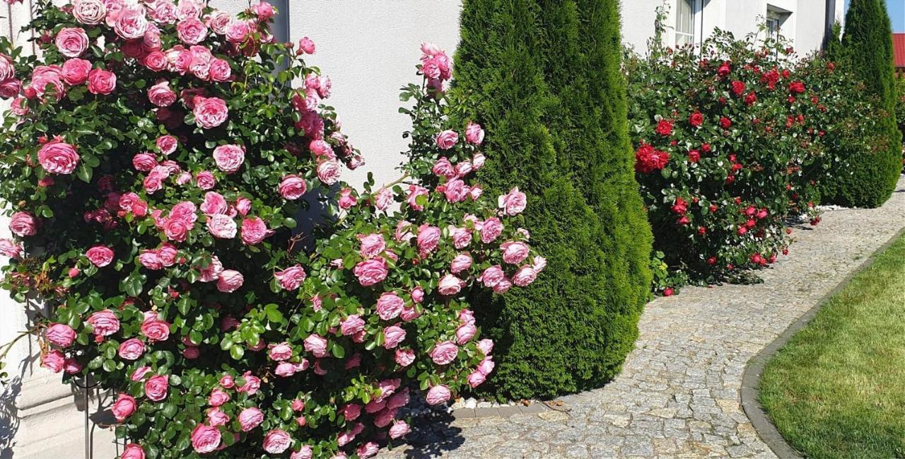 Villa TAAN Royal Rewal Dış mekan fotoğraf