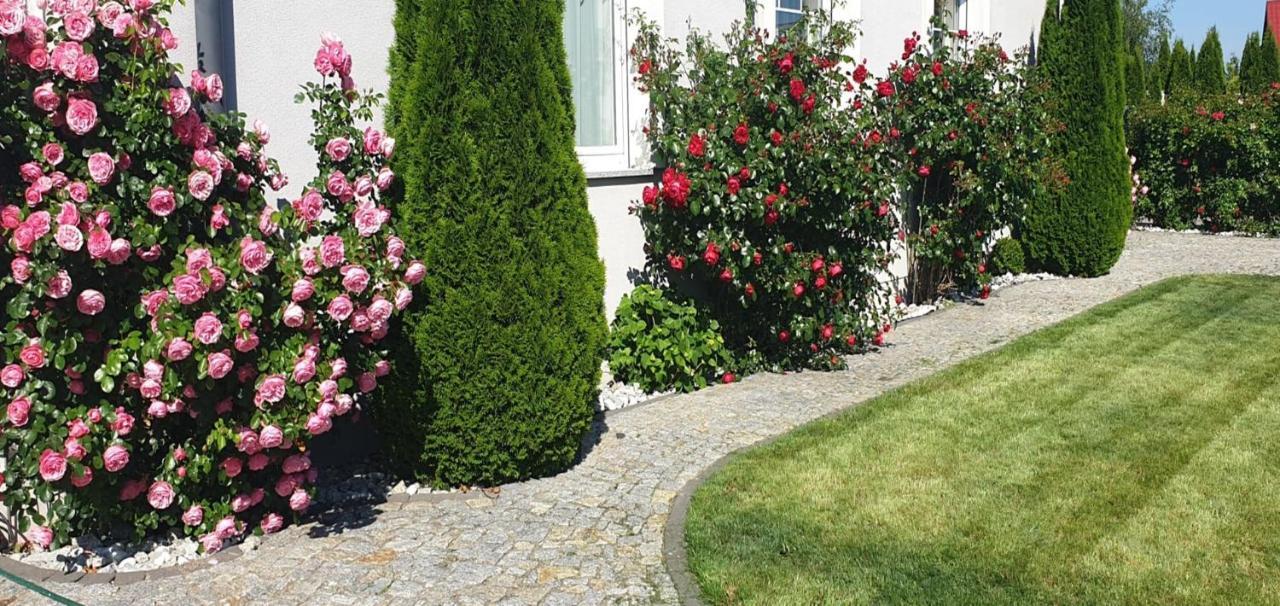 Villa TAAN Royal Rewal Dış mekan fotoğraf